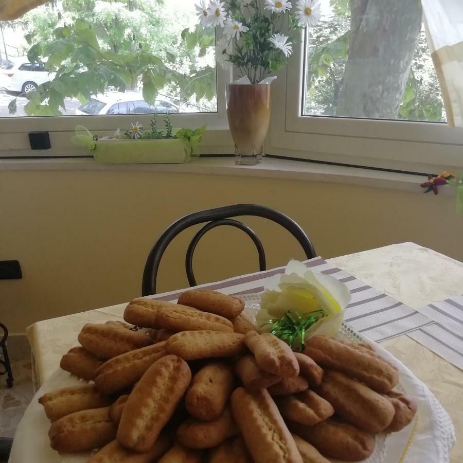 Mazzocca